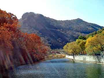 JiuyouAPP下载-体育赛事集中展开，足球风采引人注目，体育足球比赛时间表