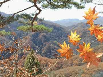 JiuyouAPP下载-体育赛事集中展开，足球风采引人注目，体育足球比赛时间表